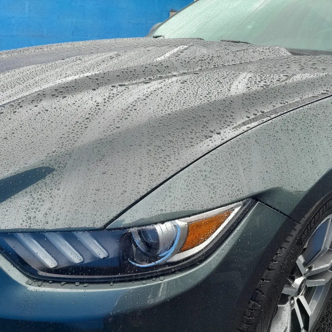Bio clean car (3)