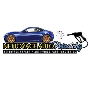 Nettoyage Auto Minatchy