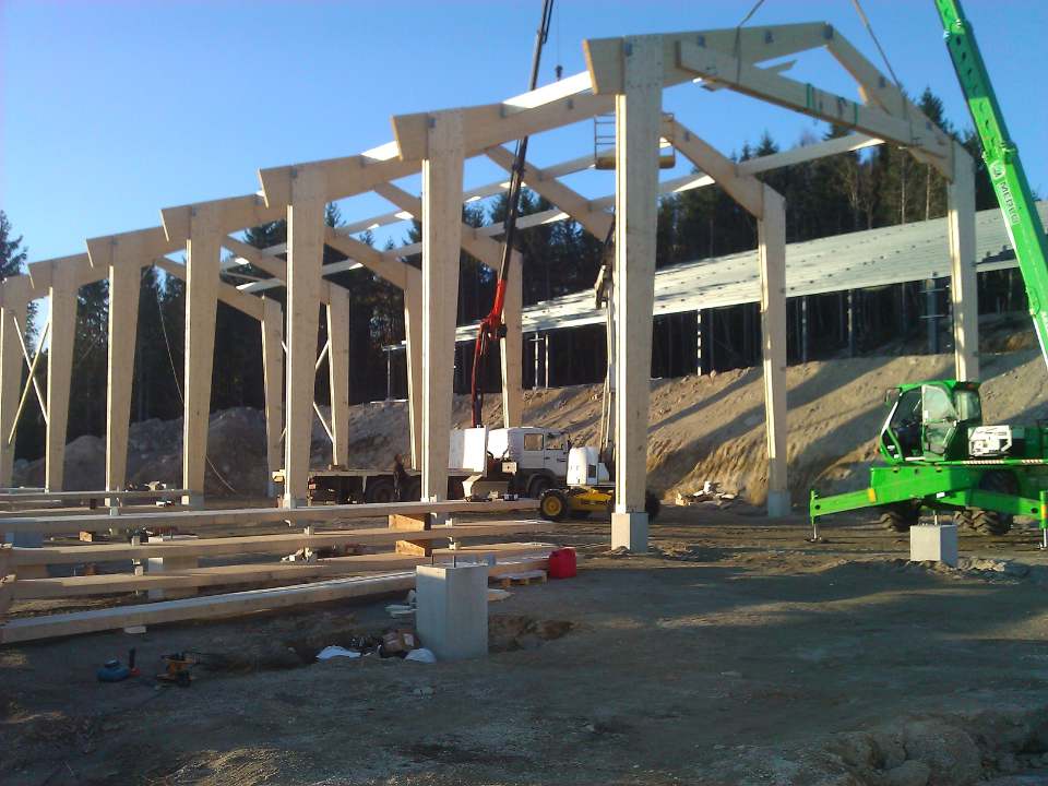 Concept tendance Bois