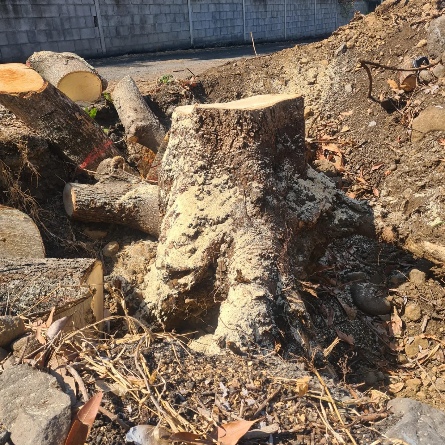 Espaces Verts Rivière