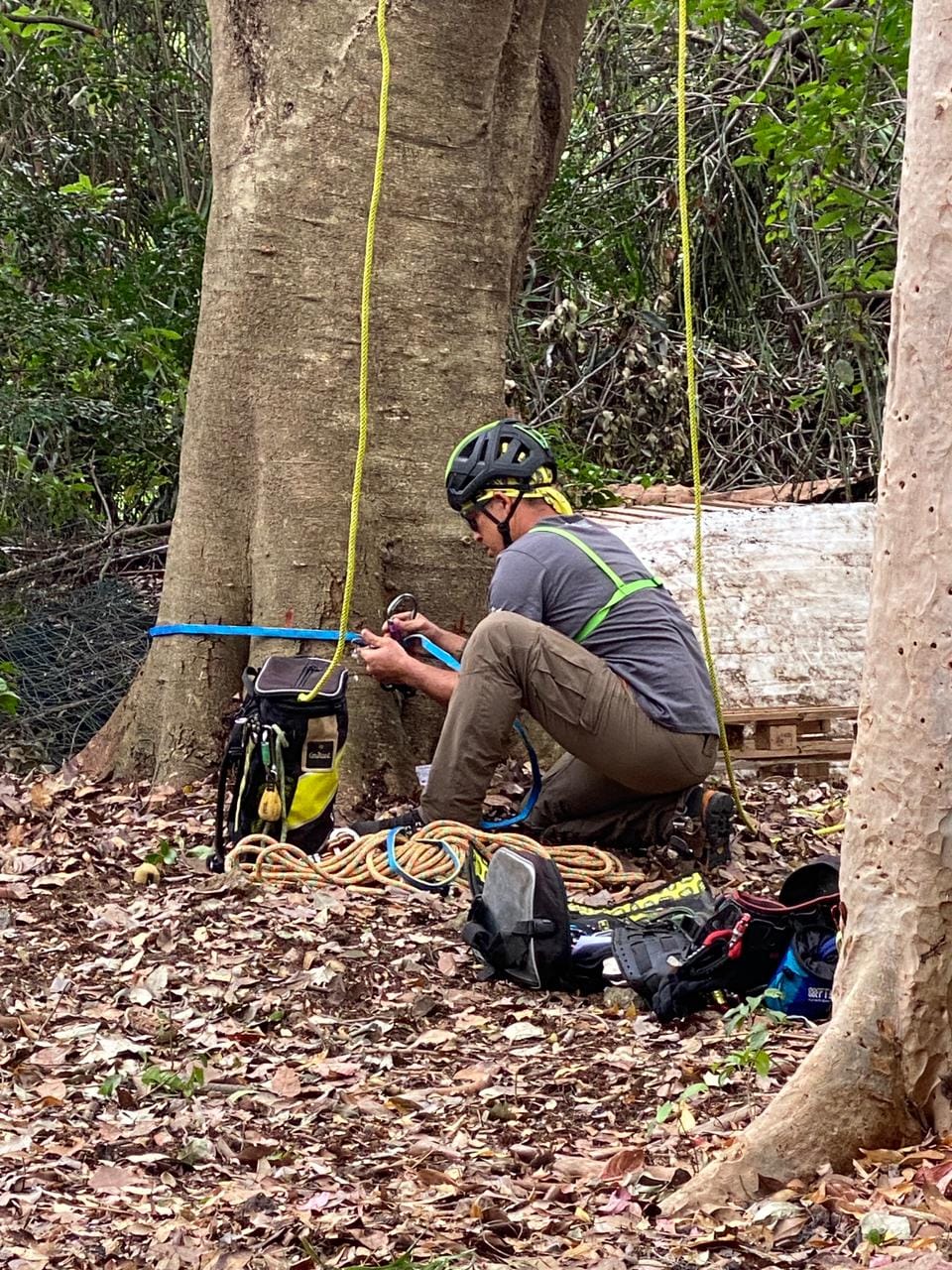 Espaces Verts Rivière
