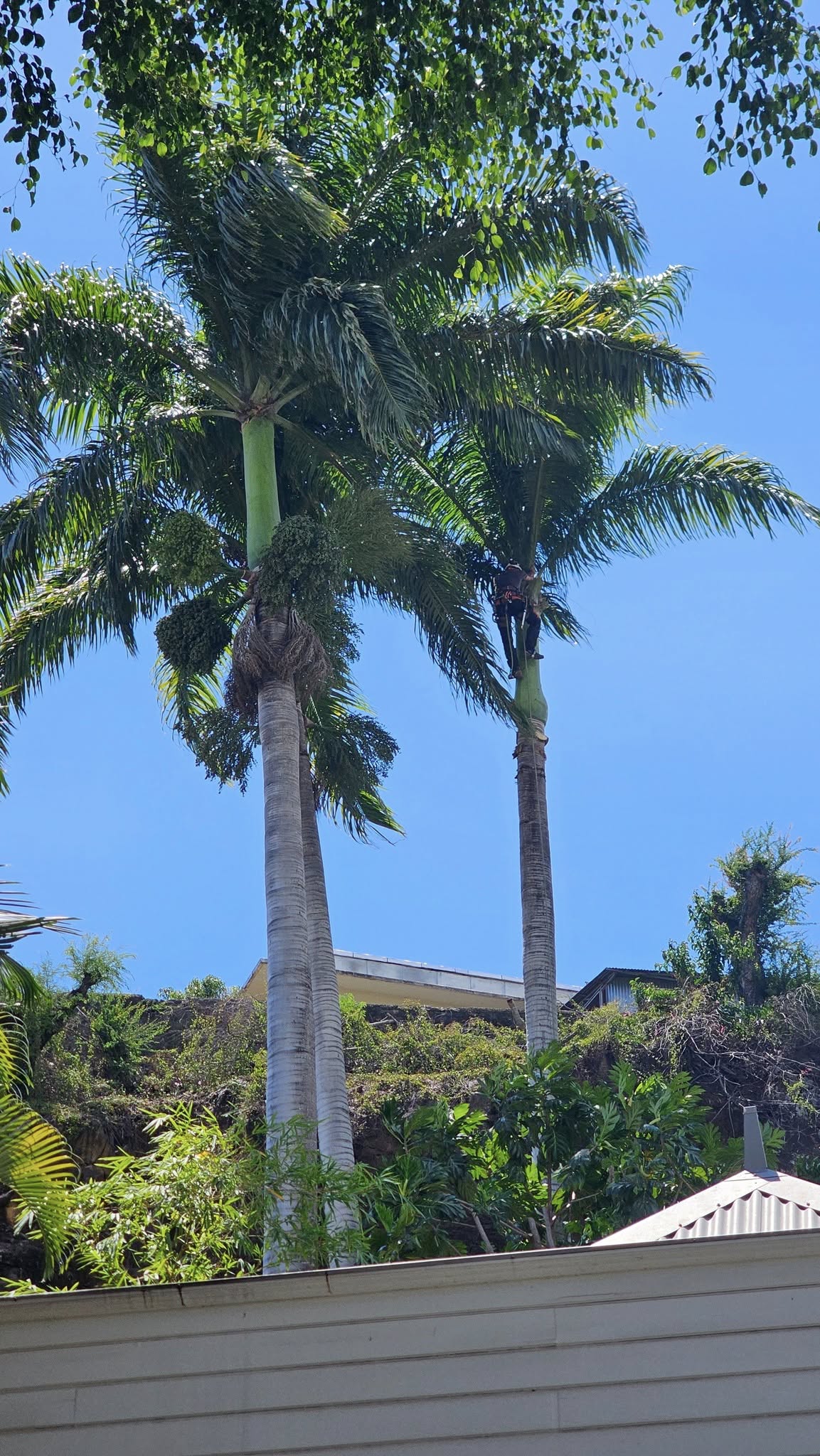 Espaces Verts Rivière