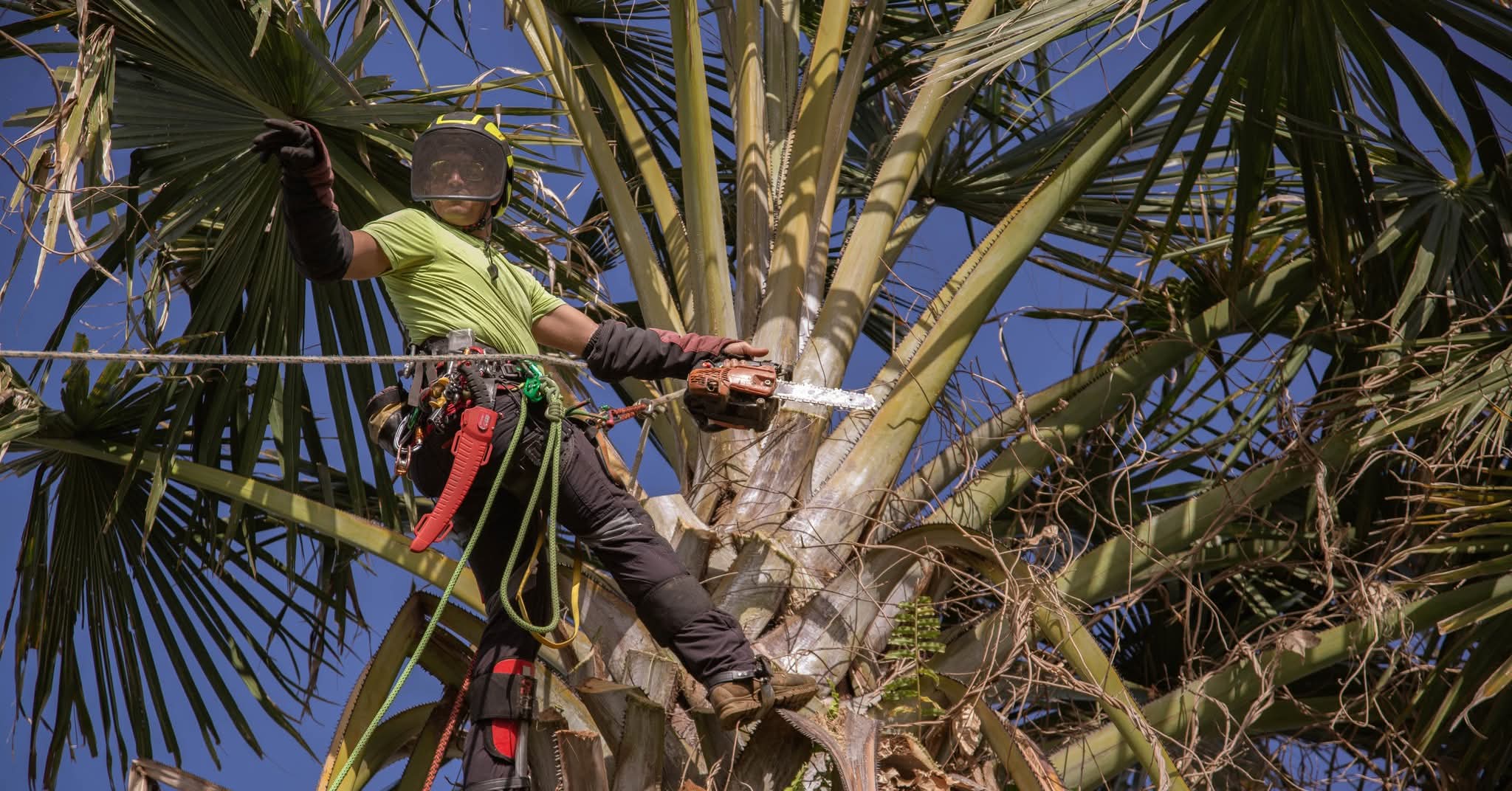 Espaces Verts Rivière