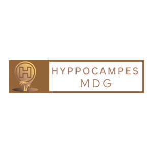 Hyppocampes MDG