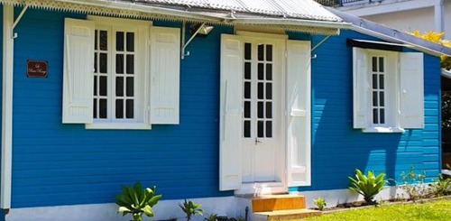 SCI Patchouli Cilaos