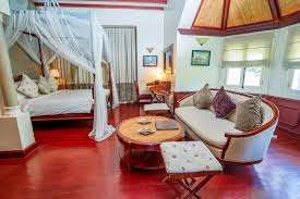 SCI Patchouli Cilaos