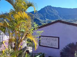 SCI Patchouli Cilaos